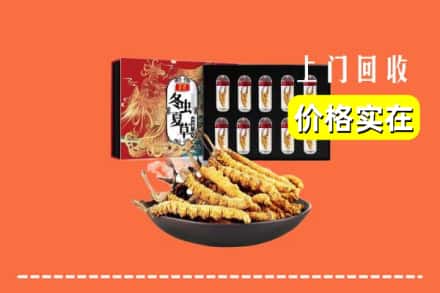 大同市广灵回收冬虫夏草